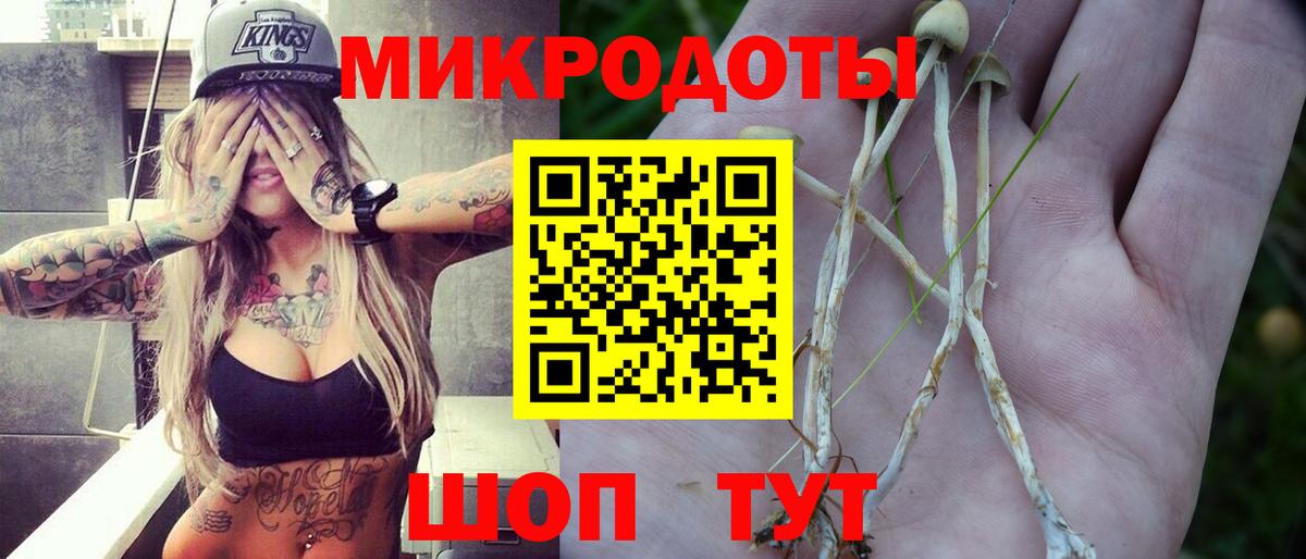 Галлюциногенные грибы Psilocybe  Псилоцибиновые грибы Psilocybe  Туймазы  Вход с VPN 